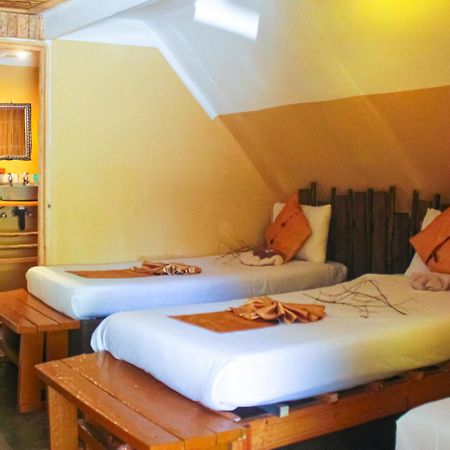 קסנה Elephant Trail Guesthouse And Backpackers מראה חיצוני תמונה