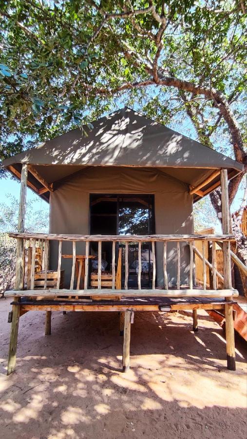 קסנה Elephant Trail Guesthouse And Backpackers מראה חיצוני תמונה