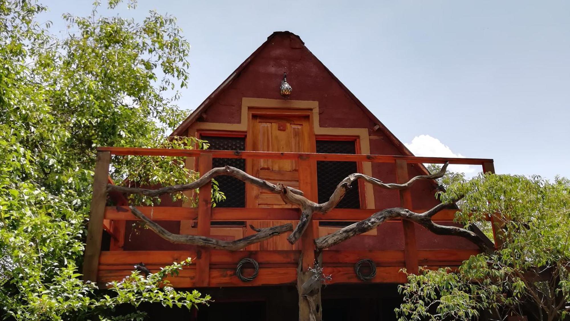 קסנה Elephant Trail Guesthouse And Backpackers חדר תמונה