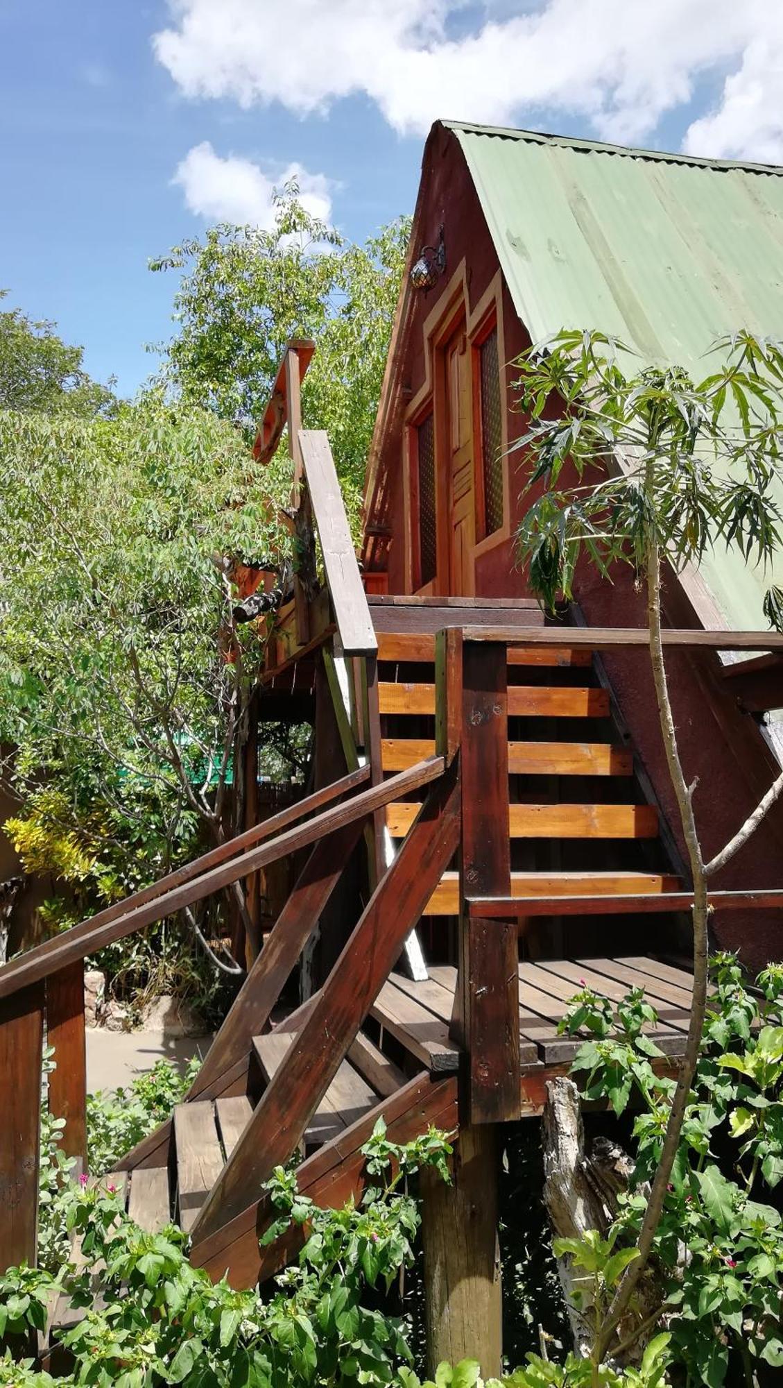 קסנה Elephant Trail Guesthouse And Backpackers חדר תמונה
