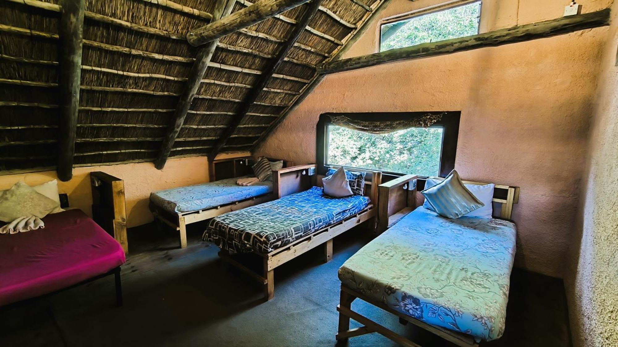 קסנה Elephant Trail Guesthouse And Backpackers מראה חיצוני תמונה