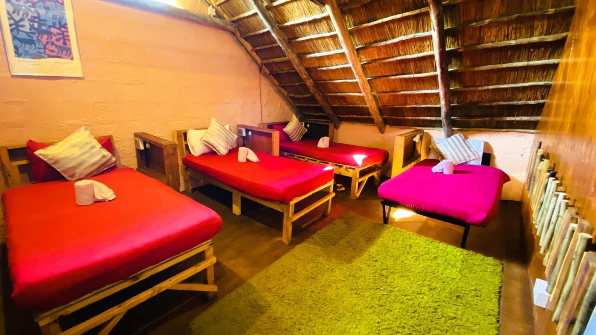 קסנה Elephant Trail Guesthouse And Backpackers חדר תמונה