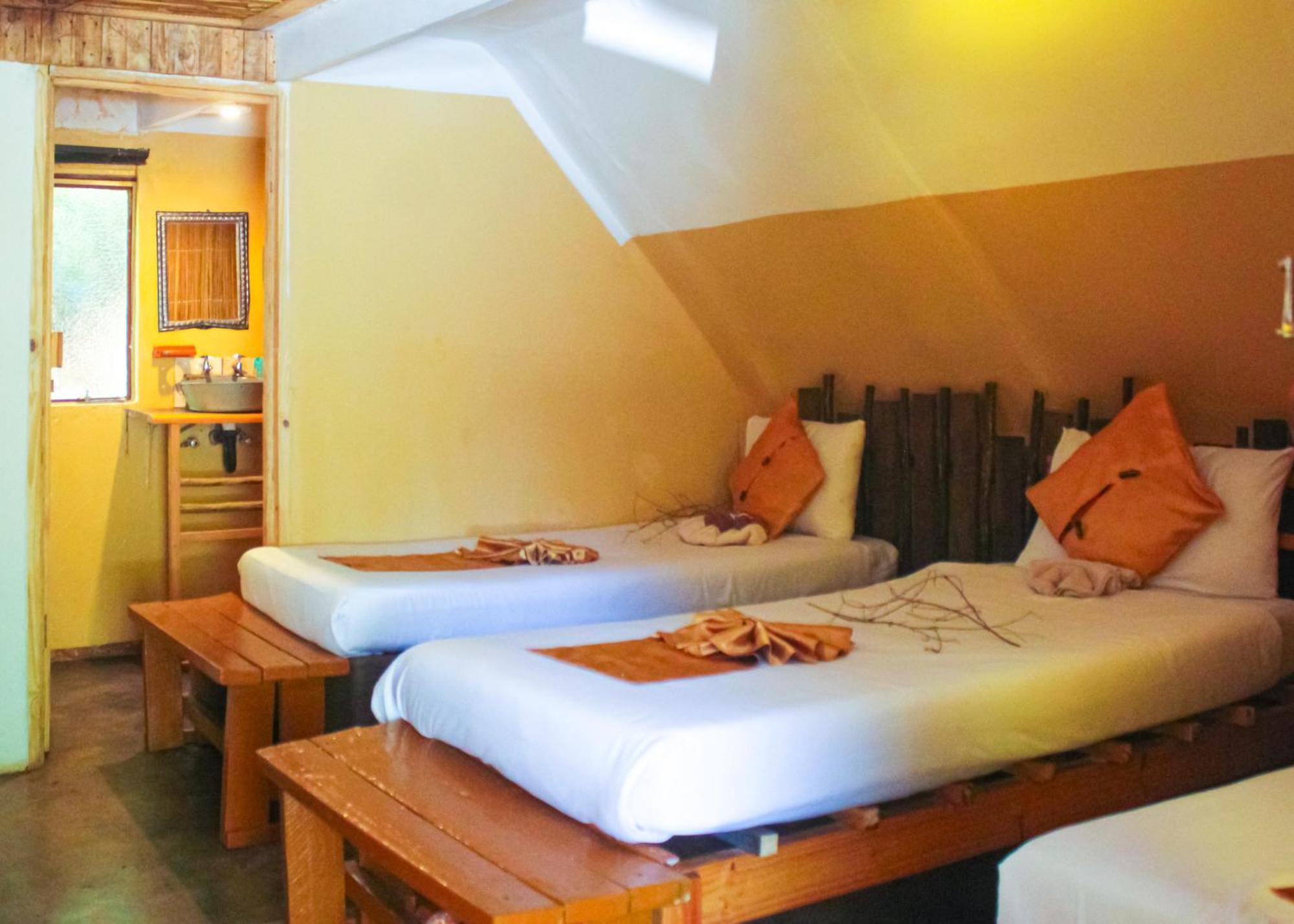 קסנה Elephant Trail Guesthouse And Backpackers מראה חיצוני תמונה