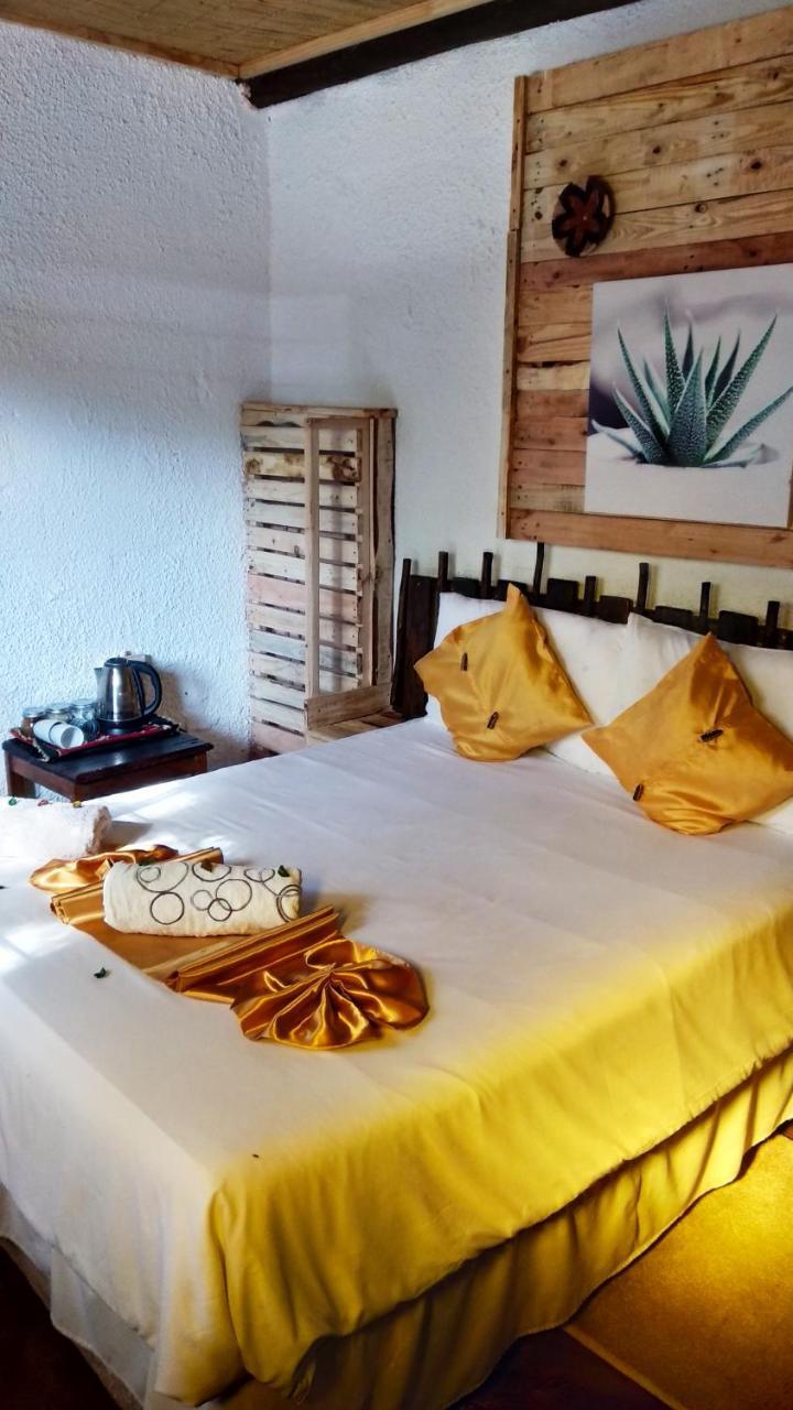 קסנה Elephant Trail Guesthouse And Backpackers מראה חיצוני תמונה